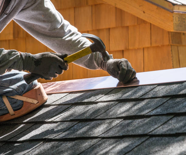 Best Roof Gutter Cleaning  in Buies Creek, NC